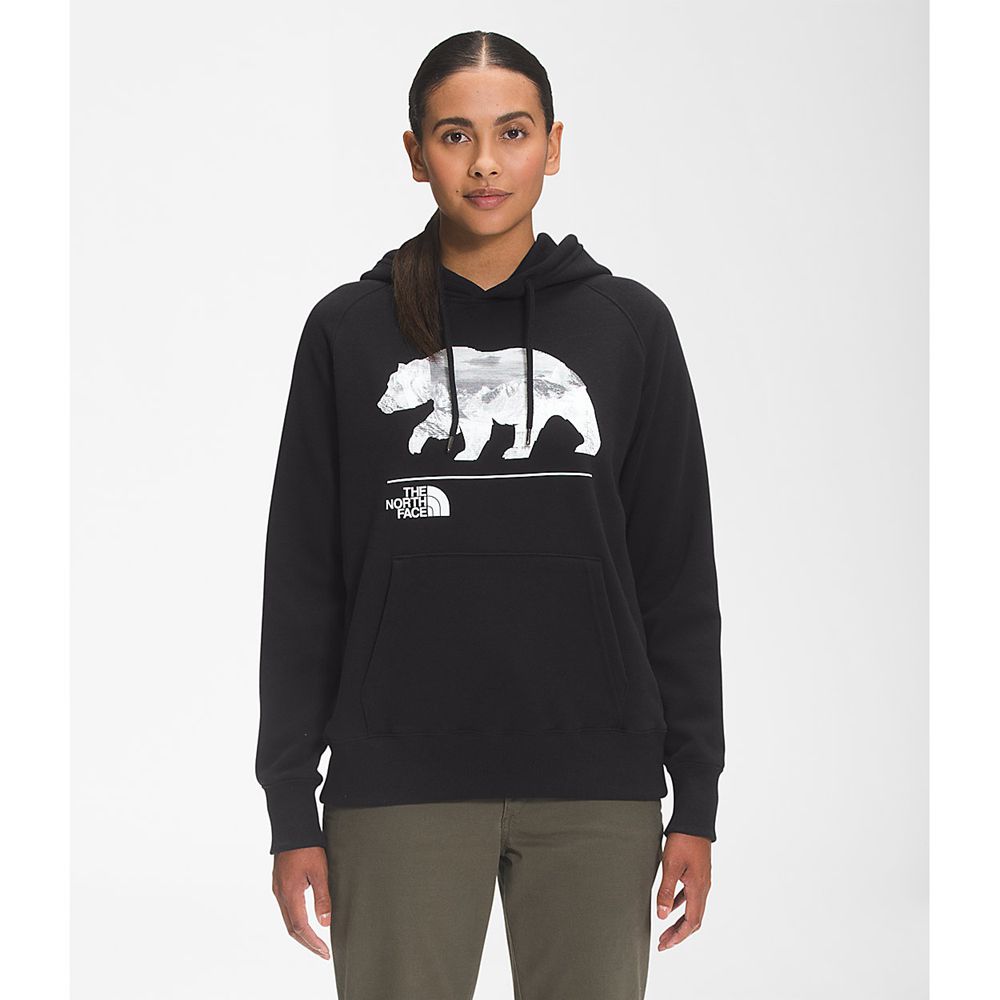 The North Face Sweatshirts Womens Australia - The North Face Bearscape 2.0 Pullover Hoodie Black / G